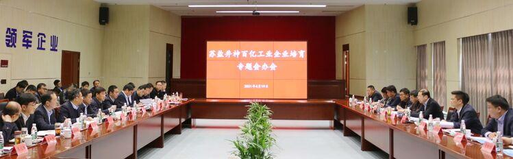 苏盐井神百亿工业企业培育专题会办会召开.jpg