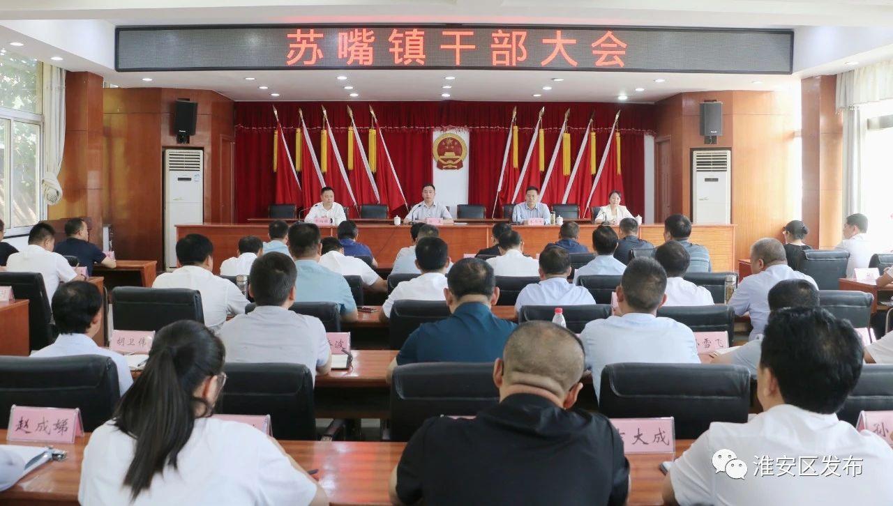 区委在苏嘴镇召开干部大会 宣布干部调整决定.jpg