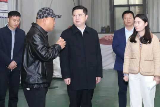 区领导到车桥镇、平桥镇宣讲党的二十届四中...