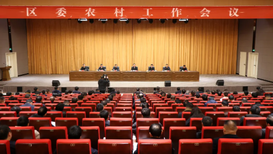 区委农村工作会议召开