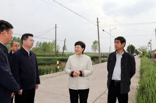 市领导来我区调研指导小麦赤霉病防控工作