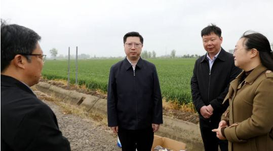 区领导调研推进小麦赤霉病防控工作