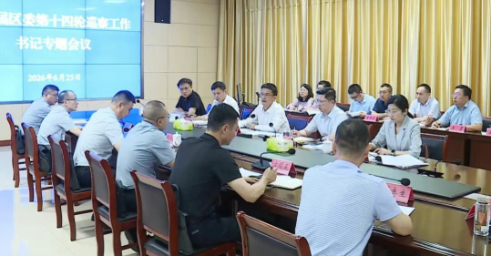 十三届区委第十四轮巡察工作书记专题会议召...