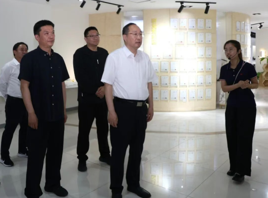 市人大常委会领导来我区调研人大工作
