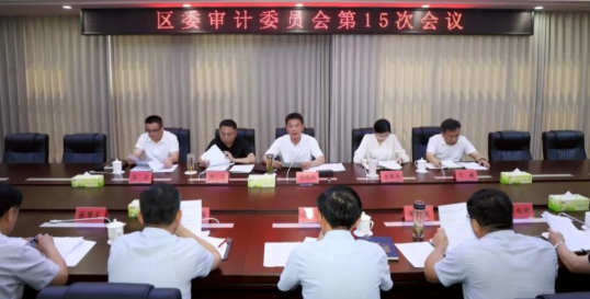 区委审计委员会第十五次会议召开
